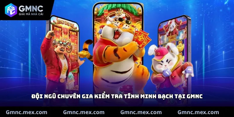 Đội ngũ chuyên gia kiểm tra tính minh bạch tại GMNC