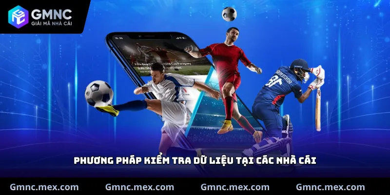 Phương pháp kiểm tra dữ liệu tại các nhà cái