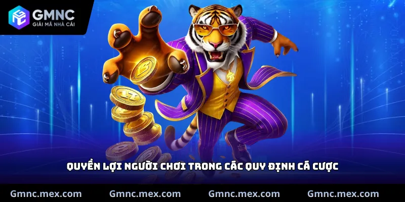 Quyền lợi người chơi trong các quy định cá cược